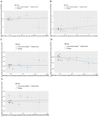 The genetic causal effect of hand grip strength on osteoporosis and falling risk: a Mendelian randomization study